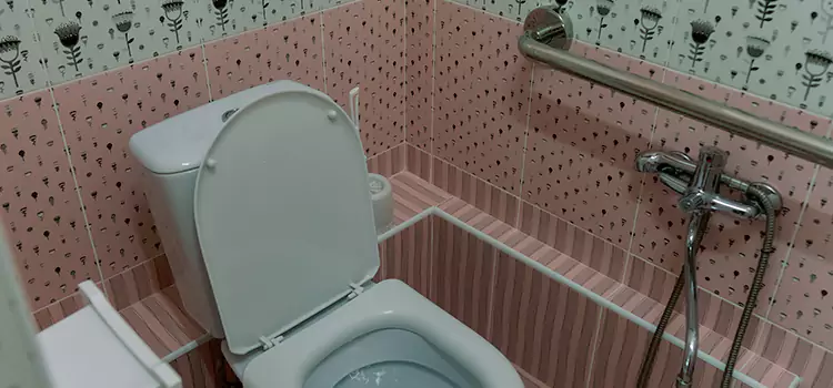 Meeting Diverse Needs With Accessible Restroom Solutions in Greenfield, IN